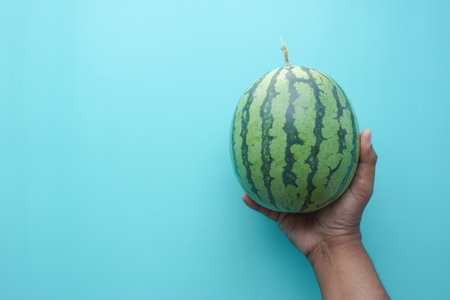 top view of holding a f water melonの写真素材