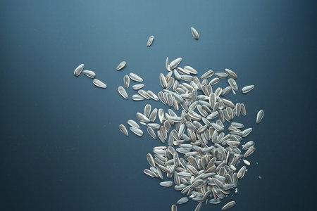 sun flower seeds spilling on black background