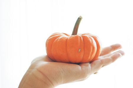 mini pumpkin on hand isolated on whiteの写真素材