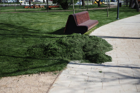 A huge pile of green mowed grass mixed with leaves.の写真素材