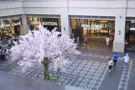 Istanbul, Turkey march 12 2023. emaar Square Mall, Uskudarのeditorial素材