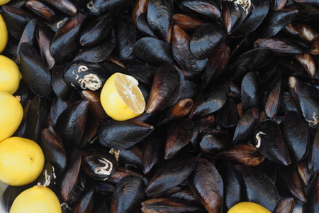 Fresh Black Shell Recipe With Lemon Turkish Foodの写真素材