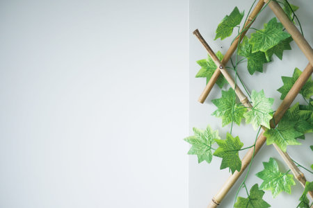 White wall in the room as a backgroundの写真素材