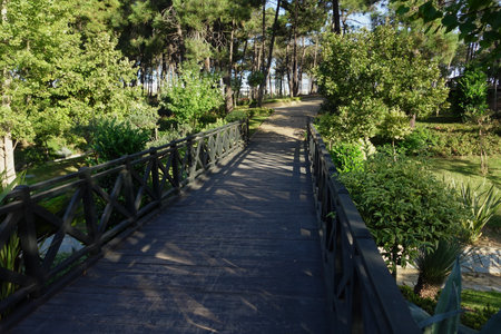 city parks with walkaway at early morningの写真素材