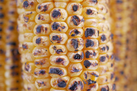 Close up of Grilled corn background