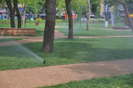 automatic watering grass, garden lawn sprinkler in action.の写真素材