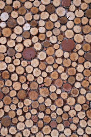 Background of tree stumps, natural wood backgroundの写真素材