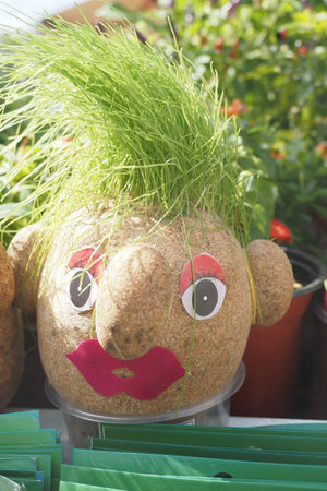 Handmade doll for growing grass seeds as hairs. Child educationの写真素材