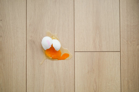 Fresh broken egg in kitchen floor