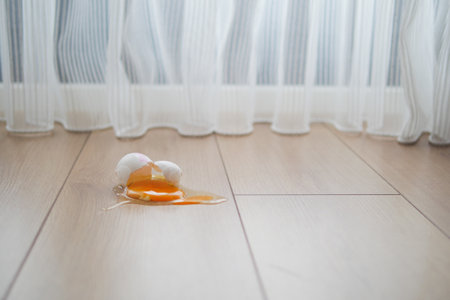 Fresh broken egg in kitchen floorの写真素材
