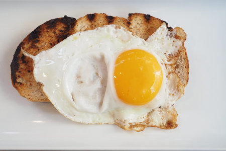 fried egg on a toast on a plate on a white background