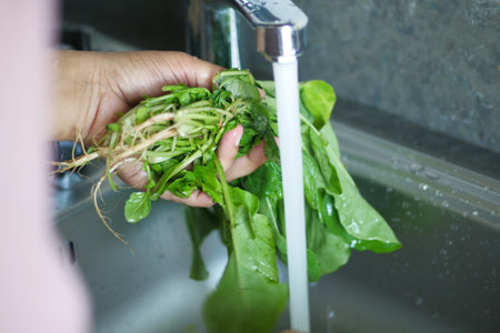 women washing Fresh spinach leaves with hot water