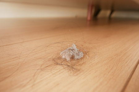 women lost hair drops on floorの写真素材