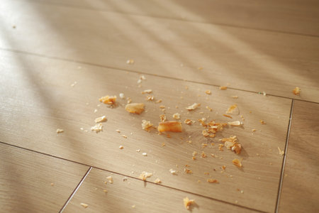 Dirt and dust on wooden floorの写真素材