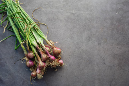 Fresh Shallots on Grey Background with Keywords Vegetables, Organic Food, Nutritionの写真素材