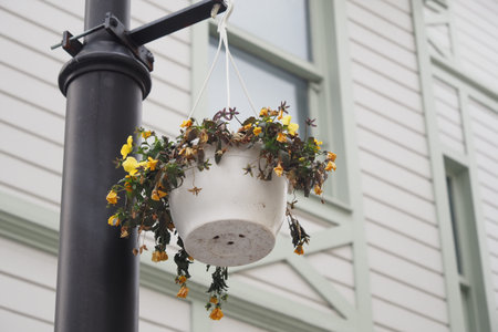 Yellow Flowers in a White Hanging Pot on a Black Pole with a House in the Background