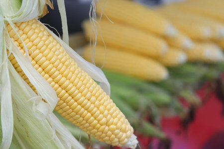 Visit your nearby farmers market to savor some delightful and fresh corn on the cob