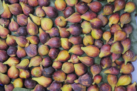Freshly Harvested Figs Beautifully Displayed on a Vibrant Market Stall for Everyone to Enjoyの写真素材