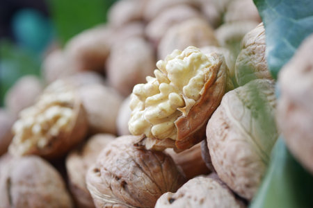 stack of natural walnuts selling at shop