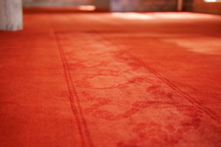 An Elegant Red Carpet Featuring Subtle Patterns Set in a Modern Interior Design Spaceの写真素材