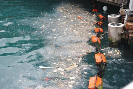 Sea water pollution with garbage