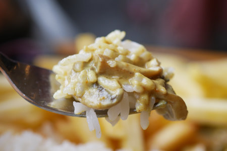A Delicious, Savory Forkful of Rice Accompanied by a Rich and Creamy Sauce Delightの写真素材