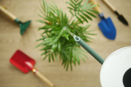 Essential Gardening Tools and Plant Care Items Placed on a Rustic Wooden Backgroundの写真素材