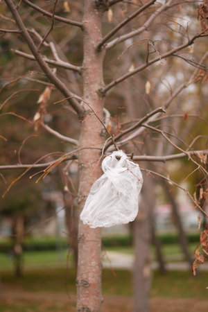 Plastic Bag Caught on Tree Branch in a Public Park, environmental pollutionの写真素材