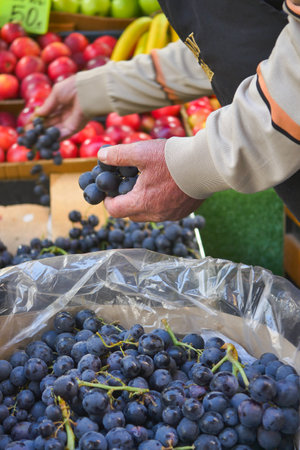 Fresh Grapes Now Available at the Local Farmers Market CloseUp Shot of Delicious Fresh Produceの写真素材
