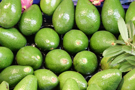 A Vibrant Display of Fresh Green Avocados Ready for Purchase at the Local Market
