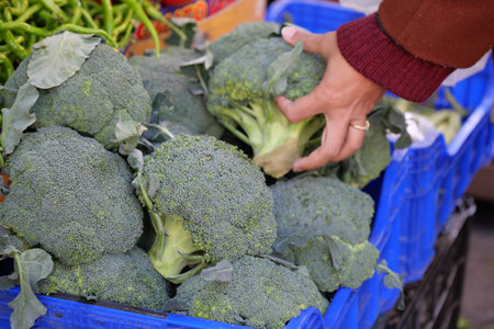 Fresh Broccoli at the Local Market for HealthConscious Consumersの写真素材