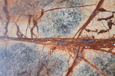 Abstract Natural Stone Surface with Intricate Patterns and Texturesの写真素材