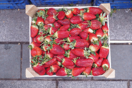 Freshly Harvested Strawberries Perfectly Packaged in a Market Boxの写真素材