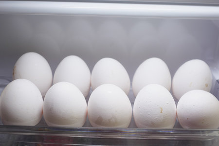 Fresh White Eggs Stored in the Refrigerator Compartment for Safetyの写真素材