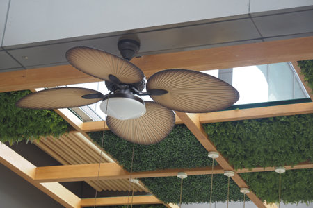 Stylish Ceiling Fan with Natural Leaf Design to enhance home decorの写真素材