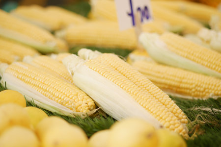 Visit your nearby farmers market to savor some delightful and fresh corn on the cobの写真素材