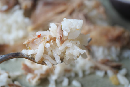 A Delicious Serving of Rice Accompanied by Tender Chicken Piecesの写真素材