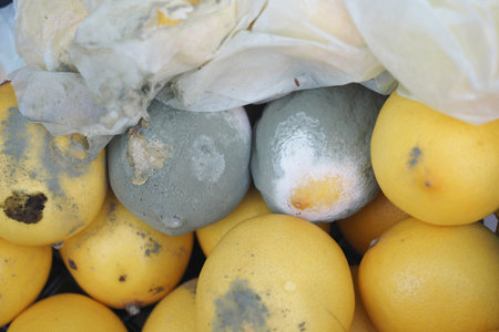 closeup of Molded lemon on table .の写真素材