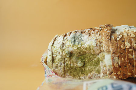 Close-Up of Mold-Infested Bread Slice on Orange Backgroundの写真素材