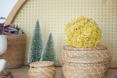 Embrace Stylish Home Decor with Natural Elements and Texturesの写真素材