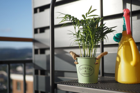 A Vibrant Potted Plant on the Balcony with a Colorful Watering Canの写真素材