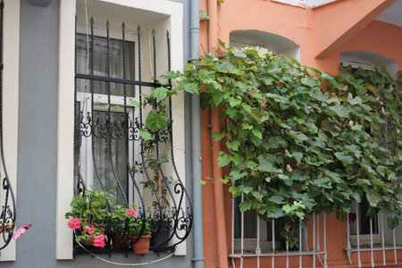 A Charming Urban Window Display Adorned with Flower Pots and Greeneryの写真素材
