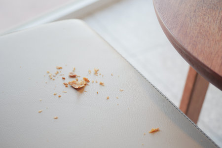 Crumbs on a light chair in a modern cafe suggest a vibrant atmosphereの写真素材