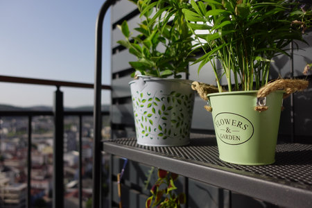 Bright and Colorful Balcony Planters Filled with Beautiful Greeneryの写真素材