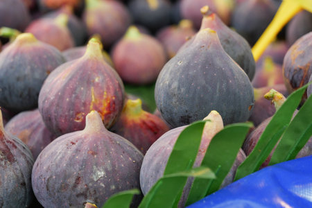 Fresh, succulent figs beautifully displayed alongside vibrant green leaves for decorationの写真素材