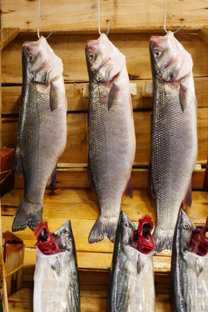 A vibrant display of freshly caught fish showcased at the local market