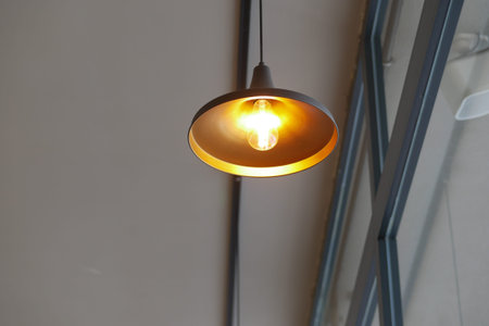 A Stylish and Elegant Pendant Light Fixture Designed for Modern Interiors