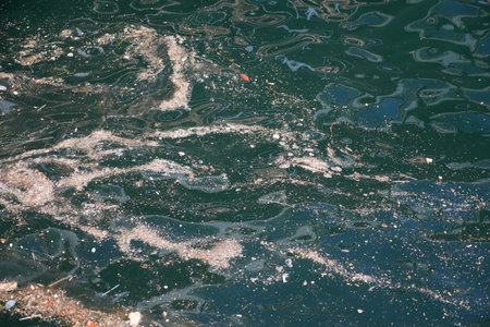 Sea water pollution with garbageの写真素材