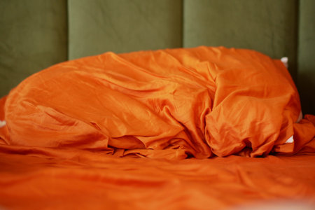 Cozy Orange Bedding with Textured Fabric and Green Background