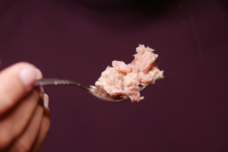 canned tuna on a spoon on white backgroundの写真素材
